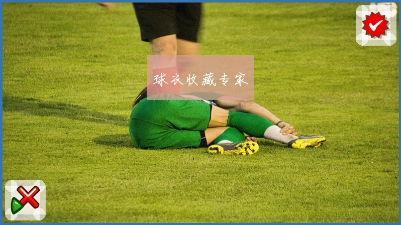 球衣收藏专家