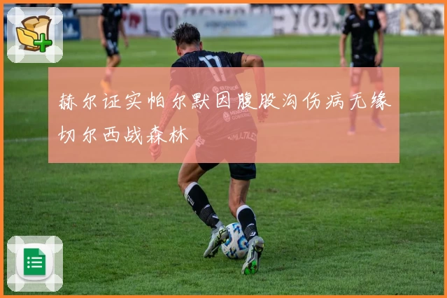 赫尔证实帕尔默因腹股沟伤病无缘切尔西战森林